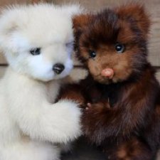 Медвежата тедди