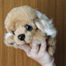 Щенок-тедди из натурального меха