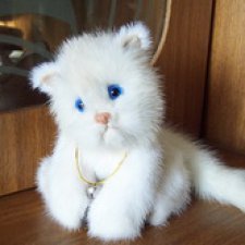 Котенок Лапка