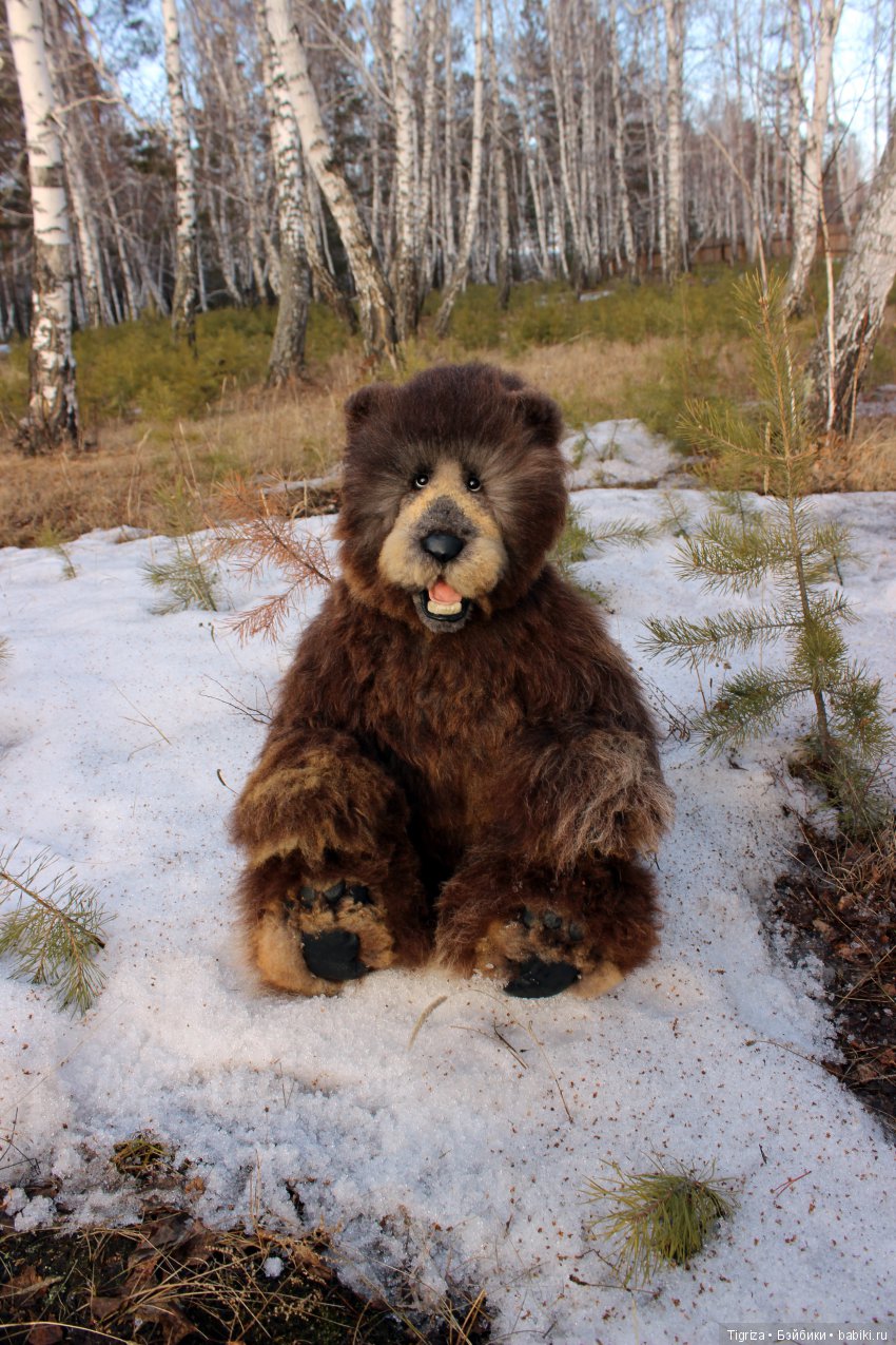 Кам проснулся — Реалистичные игрушки и звери (Натюр): собаки (фото 7)