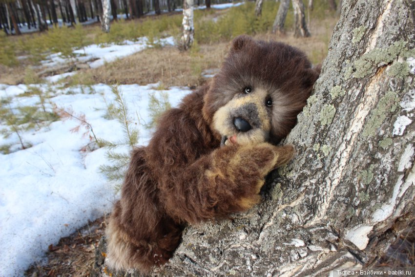 Кам проснулся — Реалистичные игрушки и звери (Натюр): собаки (фото 4)