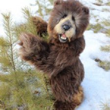 Кам проснулся