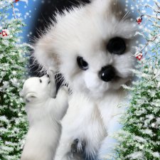 Сестренка Умки