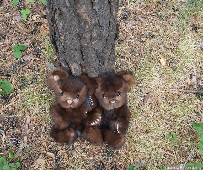 Мишки-братишки - Шаня и Фаня