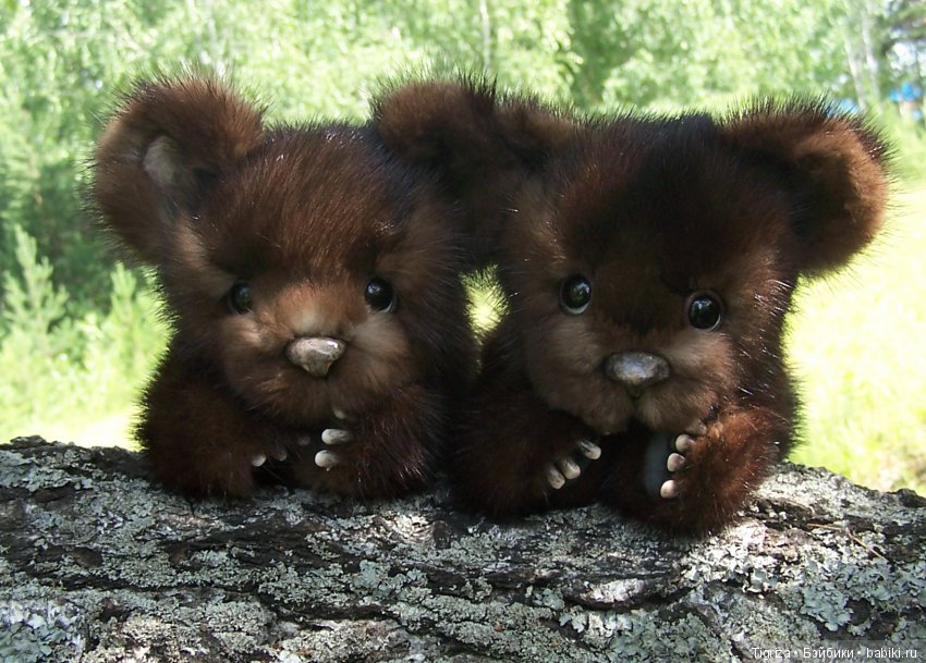 Мишки-братишки - Шаня и Фаня