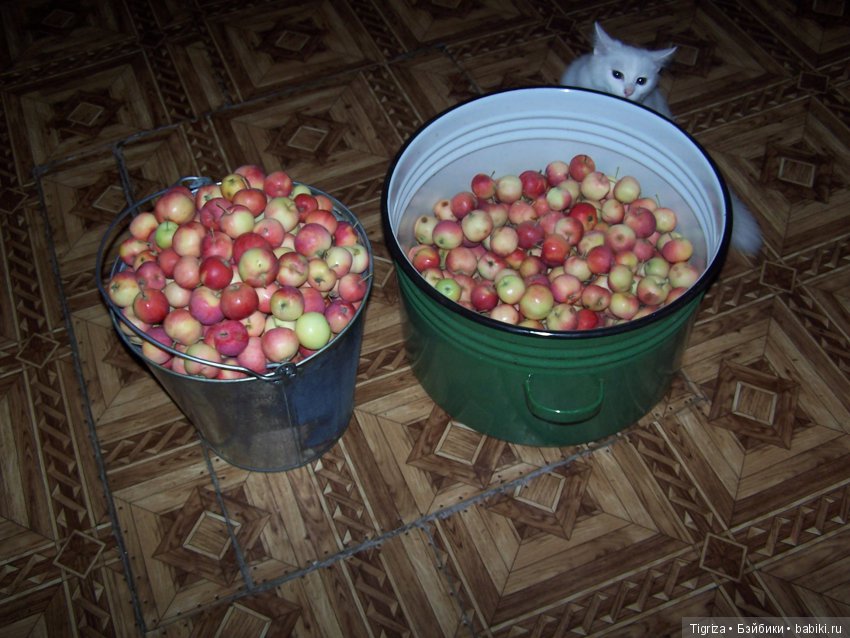 Небольшие радости — Авторские мишки Тедди и друзья: фото (фото 9)