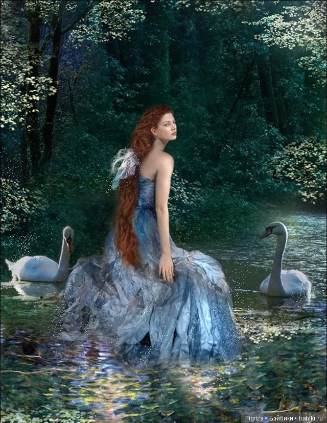 Гадкие утята. Подслушано у Г.Х. Андерсена