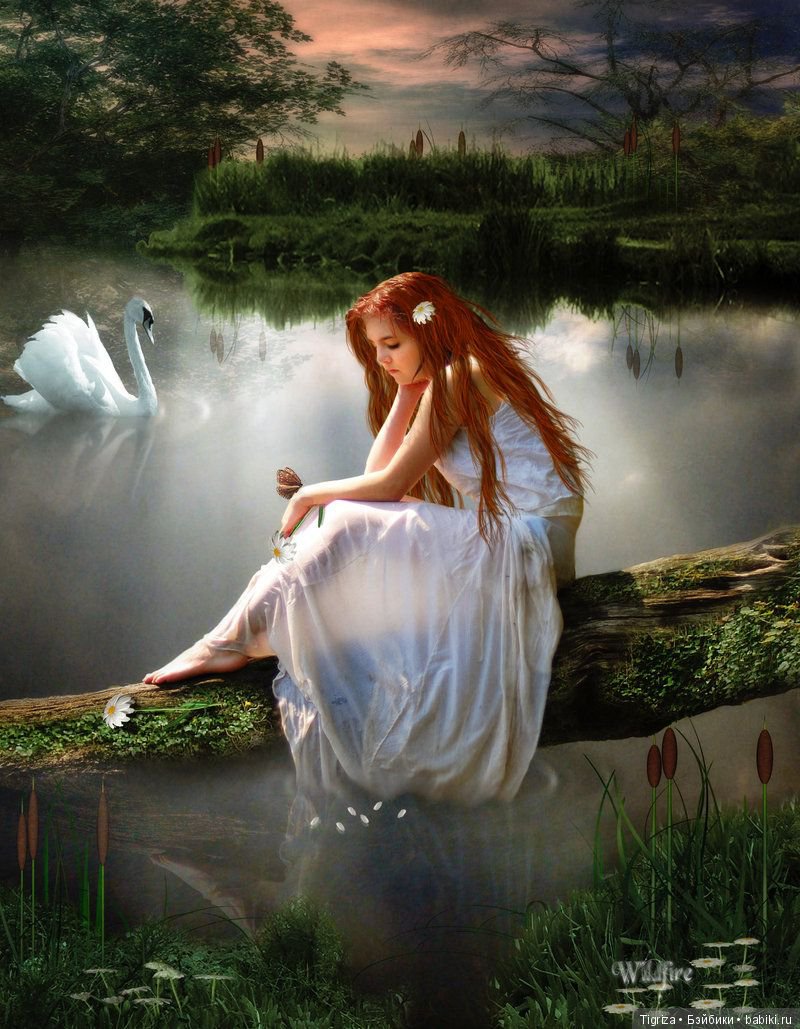 Гадкие утята. Подслушано у Г.Х. Андерсена