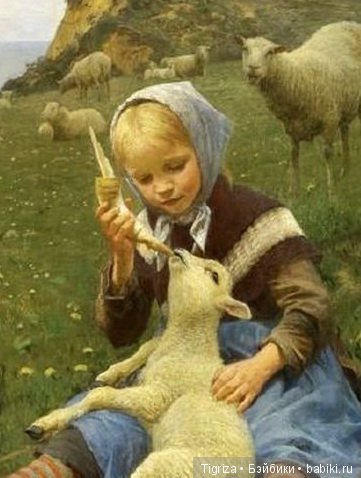 Гадкие утята. Подслушано у Г.Х. Андерсена (фото 8)