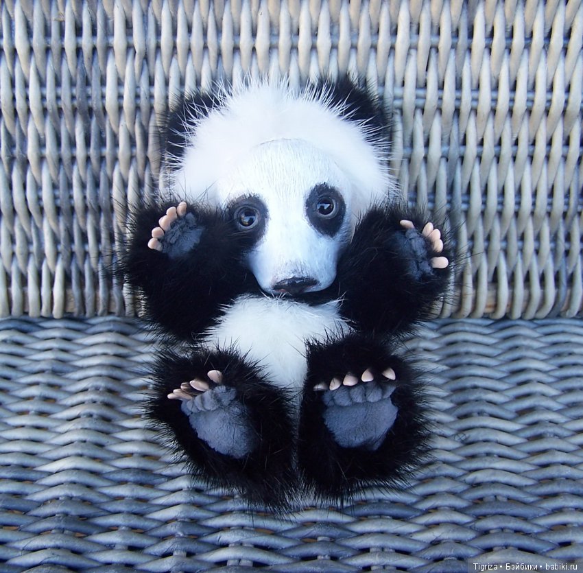 Новенькие не хотят скучать (фото 2)