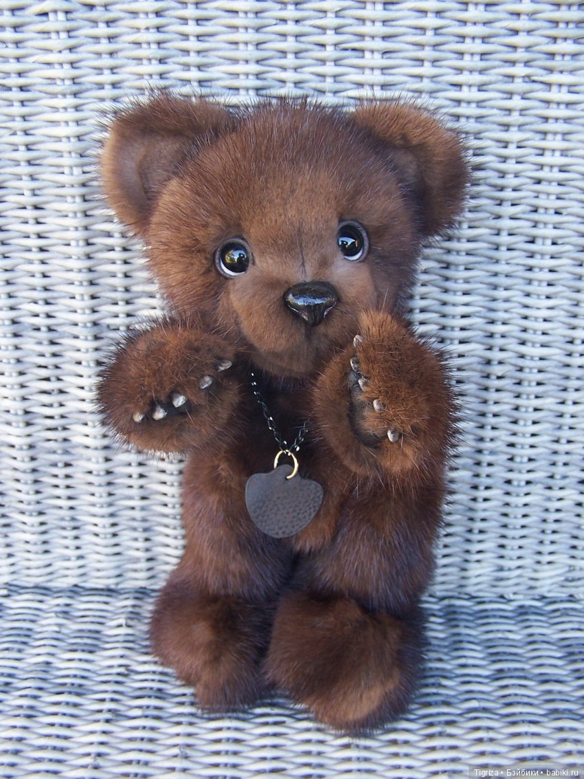 Новенькие не хотят скучать