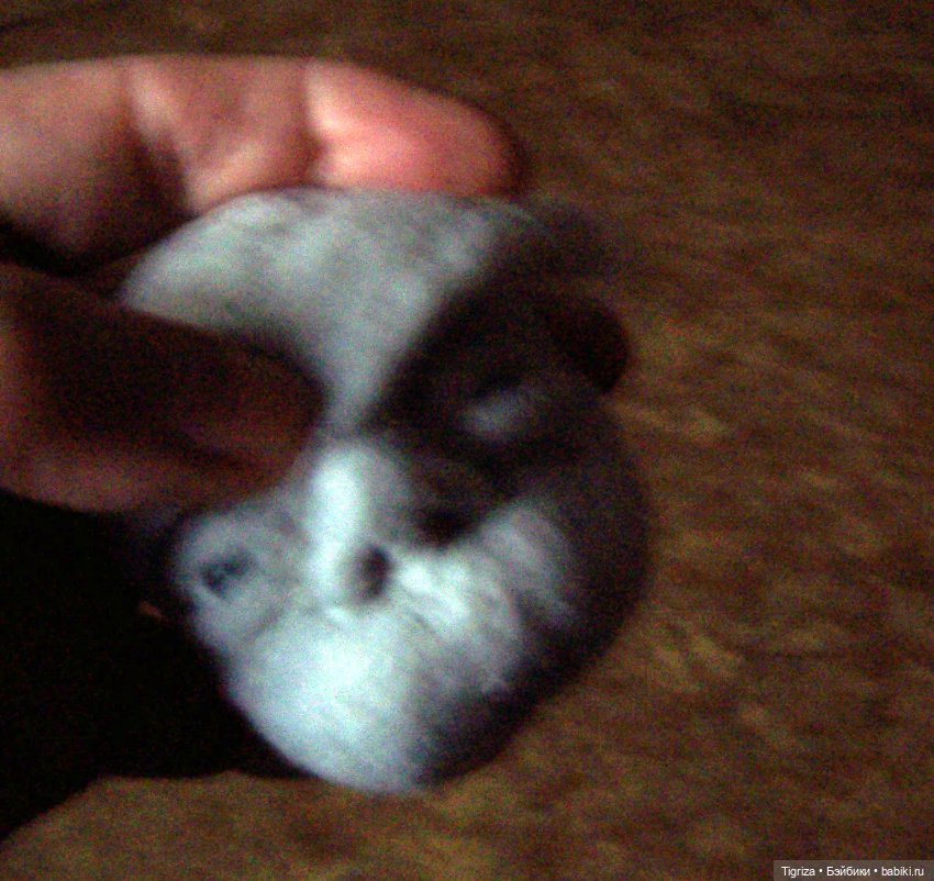 Шьем вместе. Текстильного младенца. Часть 3. Глазки, лобик (фото 8)