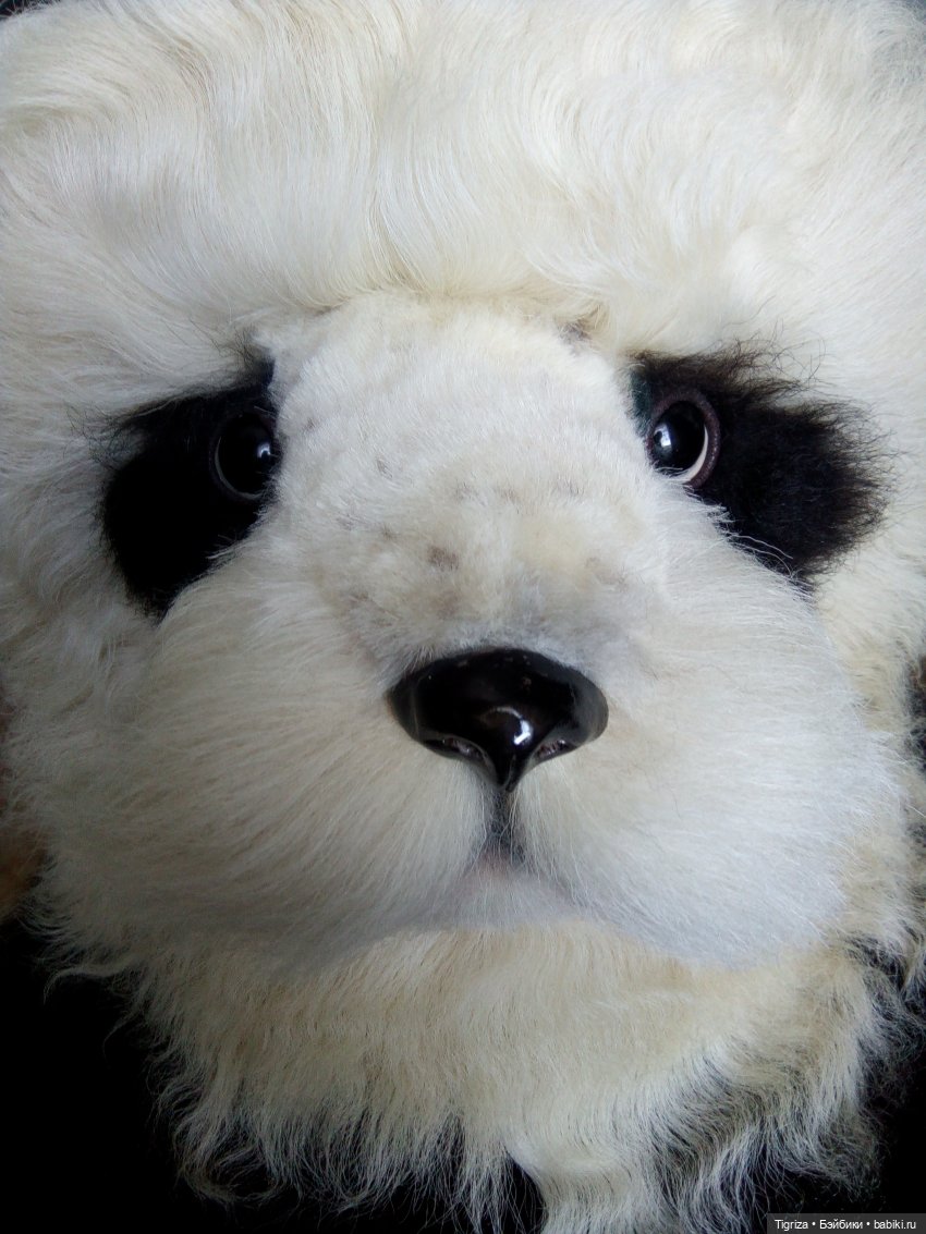 Мои панды — Авторские мишки Тедди и друзья: фото (фото 9)