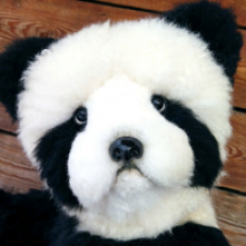 Панда по имени Шик