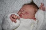 Малыш реборн от Елены Андреевой, реалистичные куклы Reborn baby/ малыш с выставки в Манеже