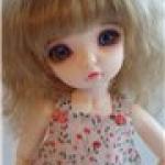 Стеша-модница. Одежда на Литлфи