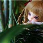 Стеша-путешественница