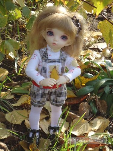 Стеша и осень — Куклы Fairyland (ФэйриЛэнд): BJD (БЖД) (фото 3)