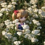 Волшебное путешествие. Fairyland Little Fee Bisou