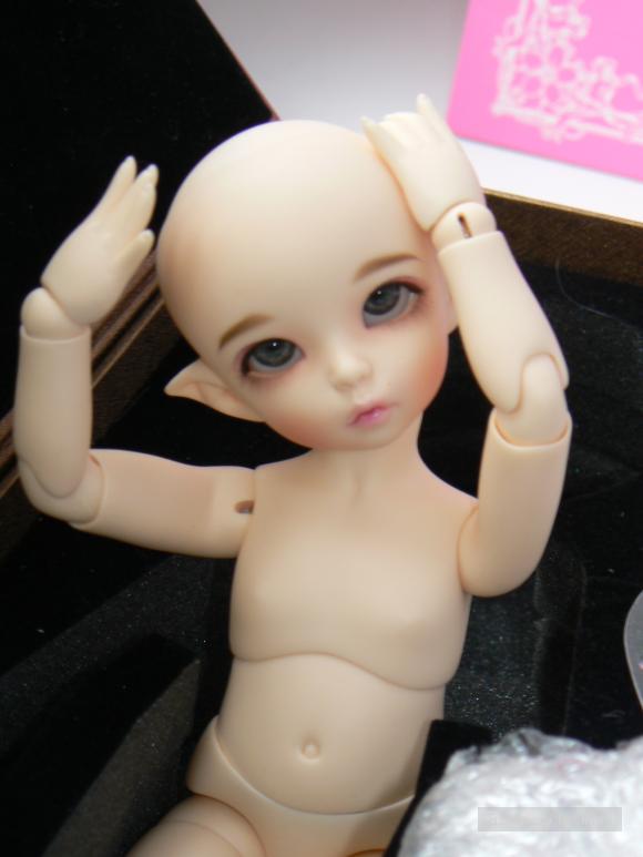 Olisia LittleFee Ante Olisia LittleFee Ante
