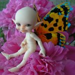 Из жизни бабочек