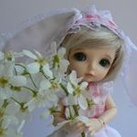 Малыши из цветочного города - куклы bjd