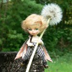 Клювокрылыш необыкновенный     (realpuki Titi)