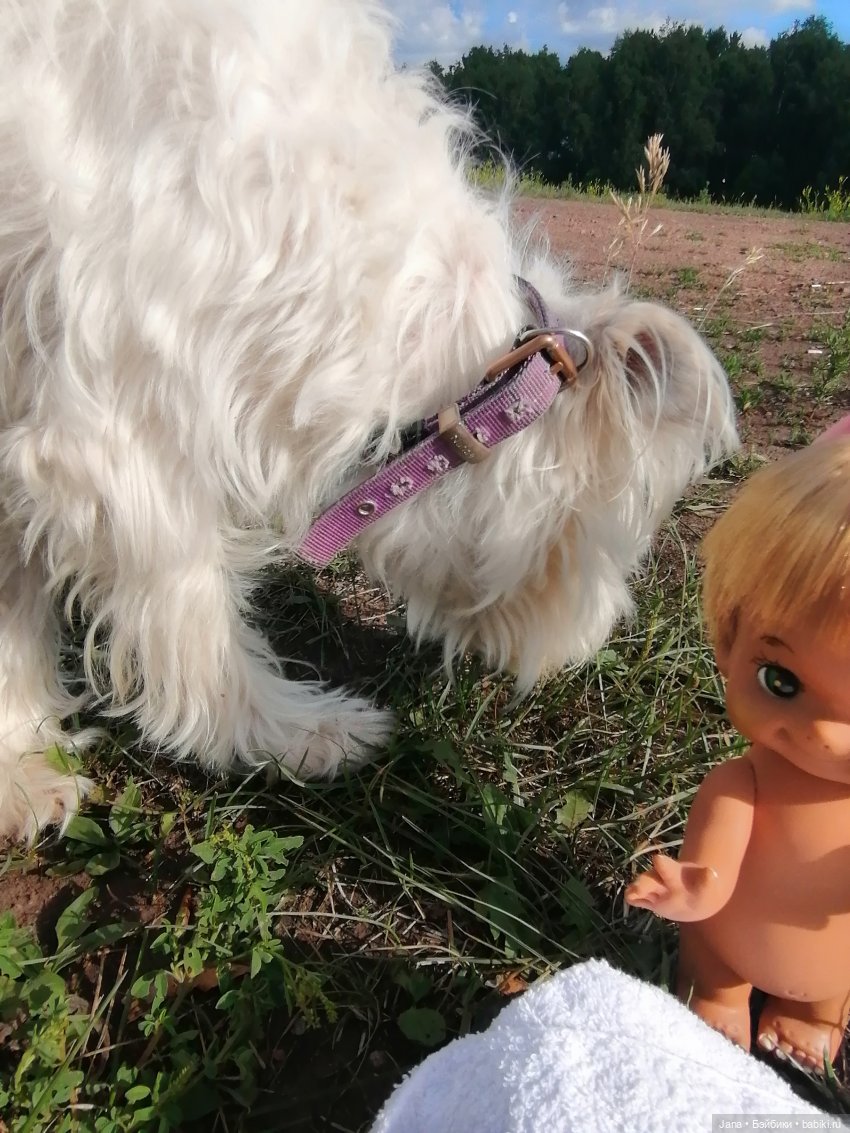 Мой помогатор.