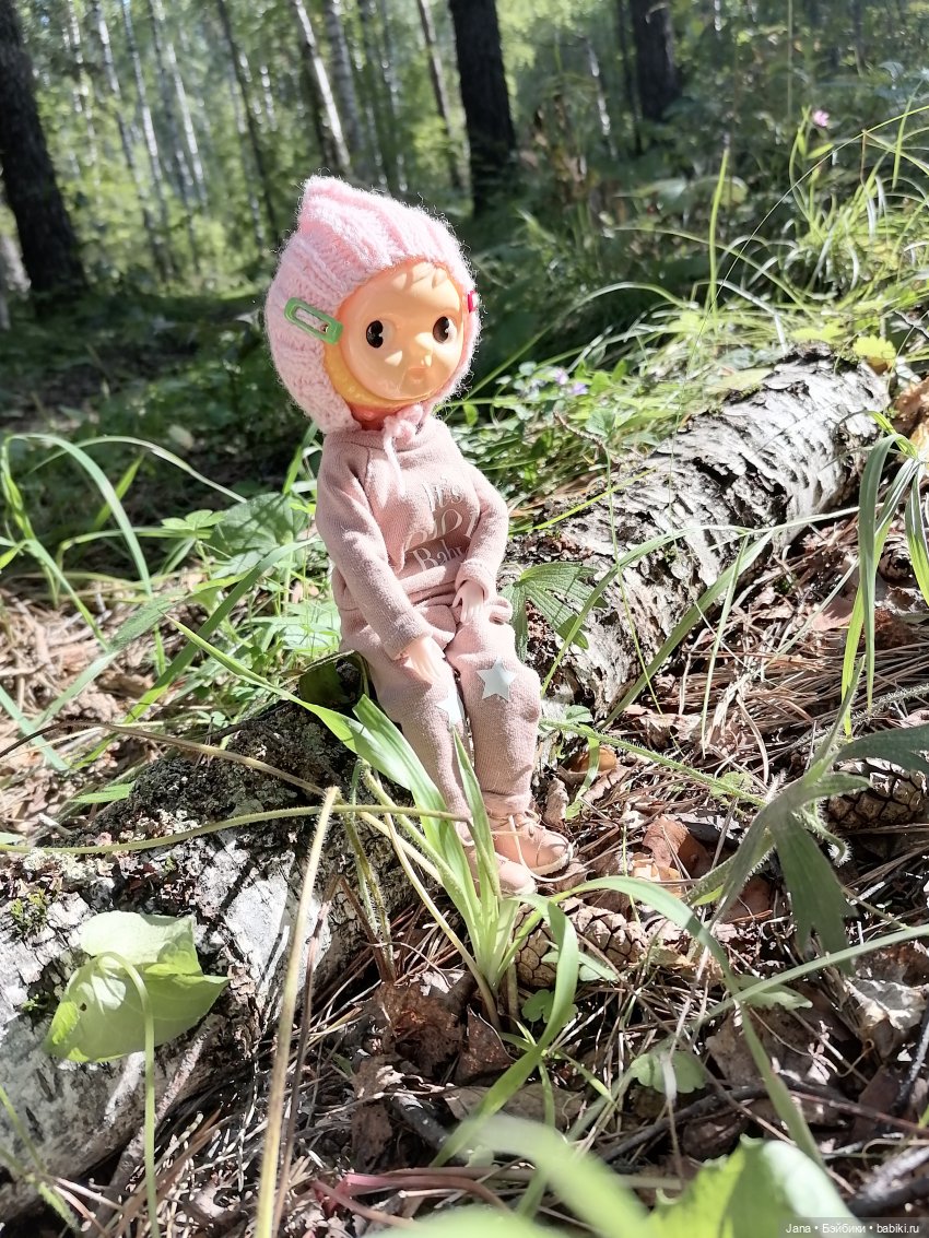 Лето - время для прогулок (фото 8)