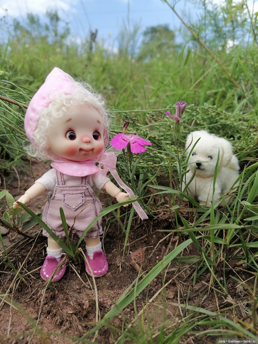 Лето - время для прогулок (фото 5)