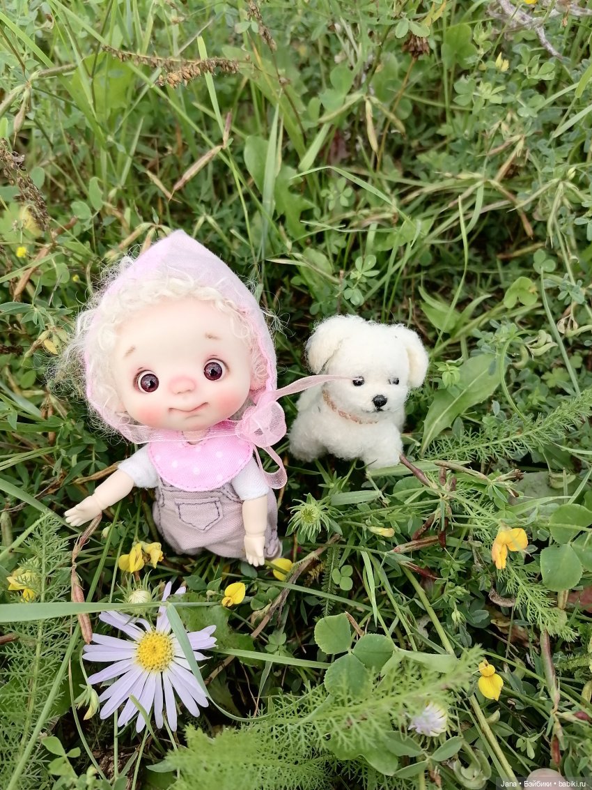 Лето - время для прогулок (фото 4)