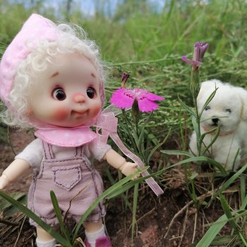 Лето - время для прогулок!