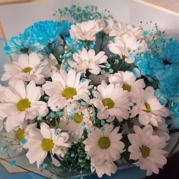 У меня юбилей на Бейбиках! 15 лет)