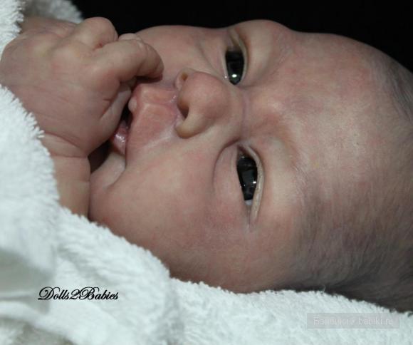 The Yelina kit by Elisa Marx