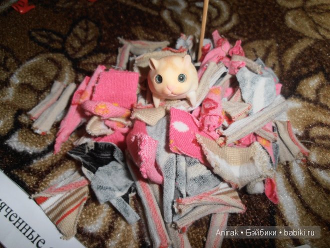 Фотоотчет о Замечательном 7 Фестивале БЖД