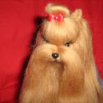 Пополнение в семействе