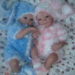 Лизулька - Эстелька от Олеси Венгер и ее сестричка Викуля-Виьен от Натальи Прониной