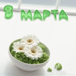 С 8 марта! Девочки с прекрасным весенним праздником!