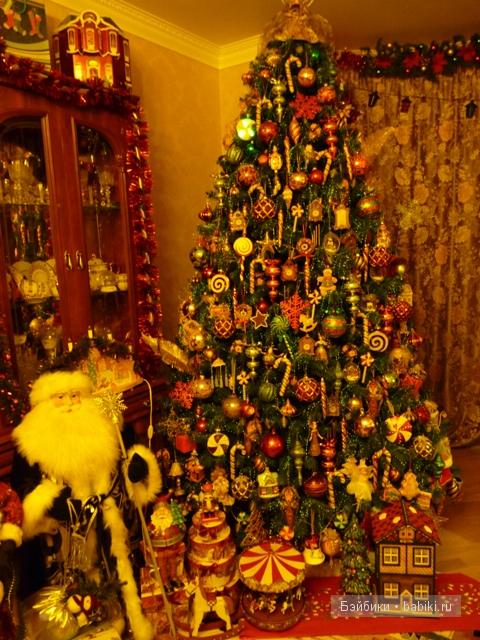 Наша красавица!!!