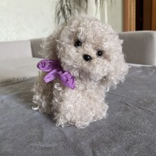 Собачка болонка