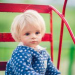 Мой Alfons от компании Schildkrot