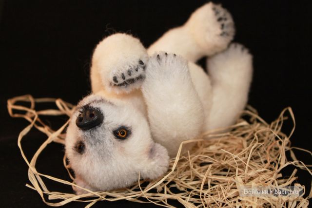 мишка Вероники Хекк