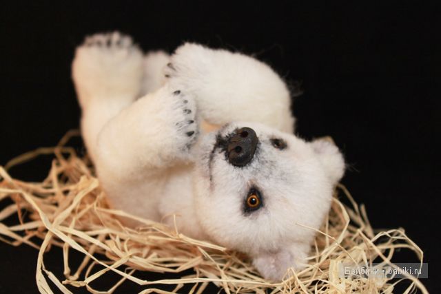 мишка Вероники Хекк