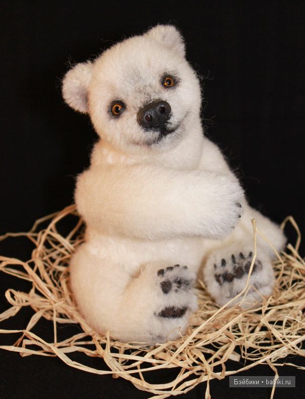 мишка Вероники Хекк