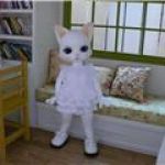 Кошка Китти