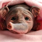 Есть реборнята собачки, обезьянки, сфинксы, а есть...