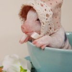 Зверятки-реборнятки