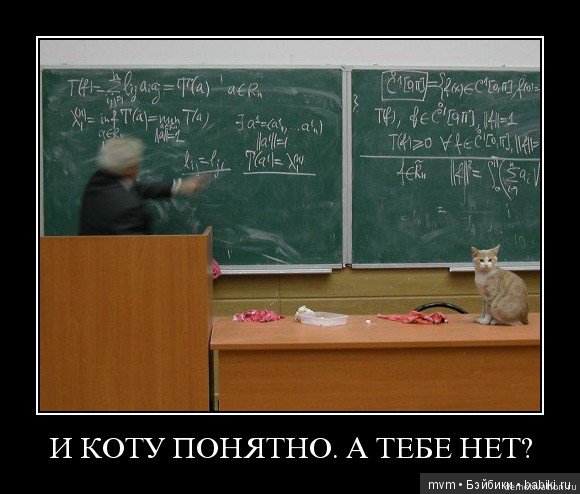 Наши первоклашки — Дети: красивые фото