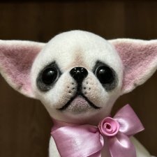 Чих из шерсти