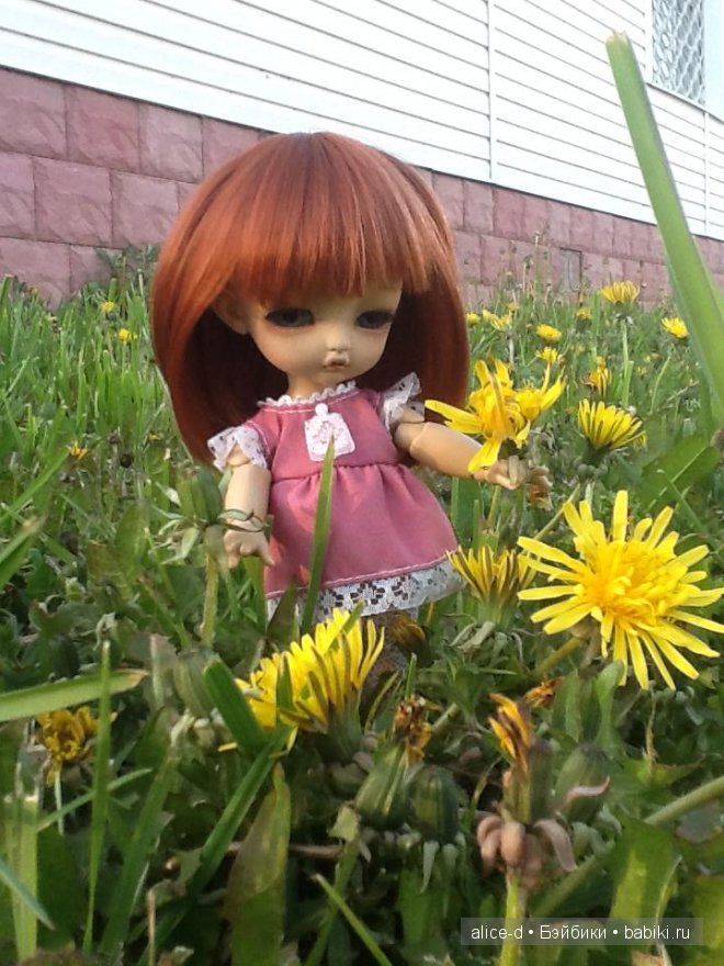 Luts Tiny Delf Alice — Куклы Luts (Лутс): корейские BJD (БЖД) (фото 7)